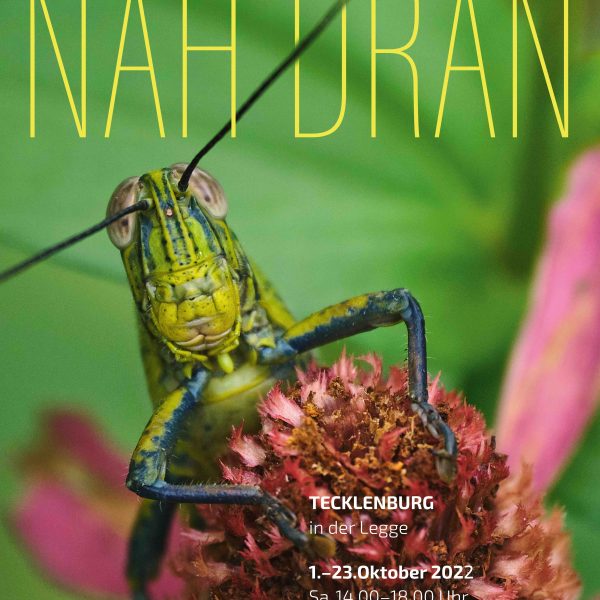 Jahresausstellung 2022- "NAH DRAN"