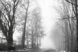 Brandenburger-Nebel2