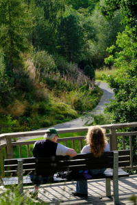 Botanischer Garten