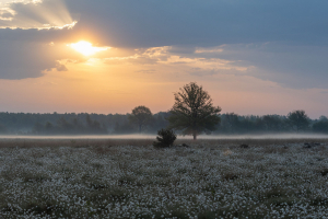 M. Ott-Morgens im Recker Moor 5