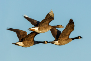 FamilienausFlug