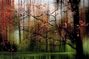 Wald Herbst Ibbenbüren abstrakt